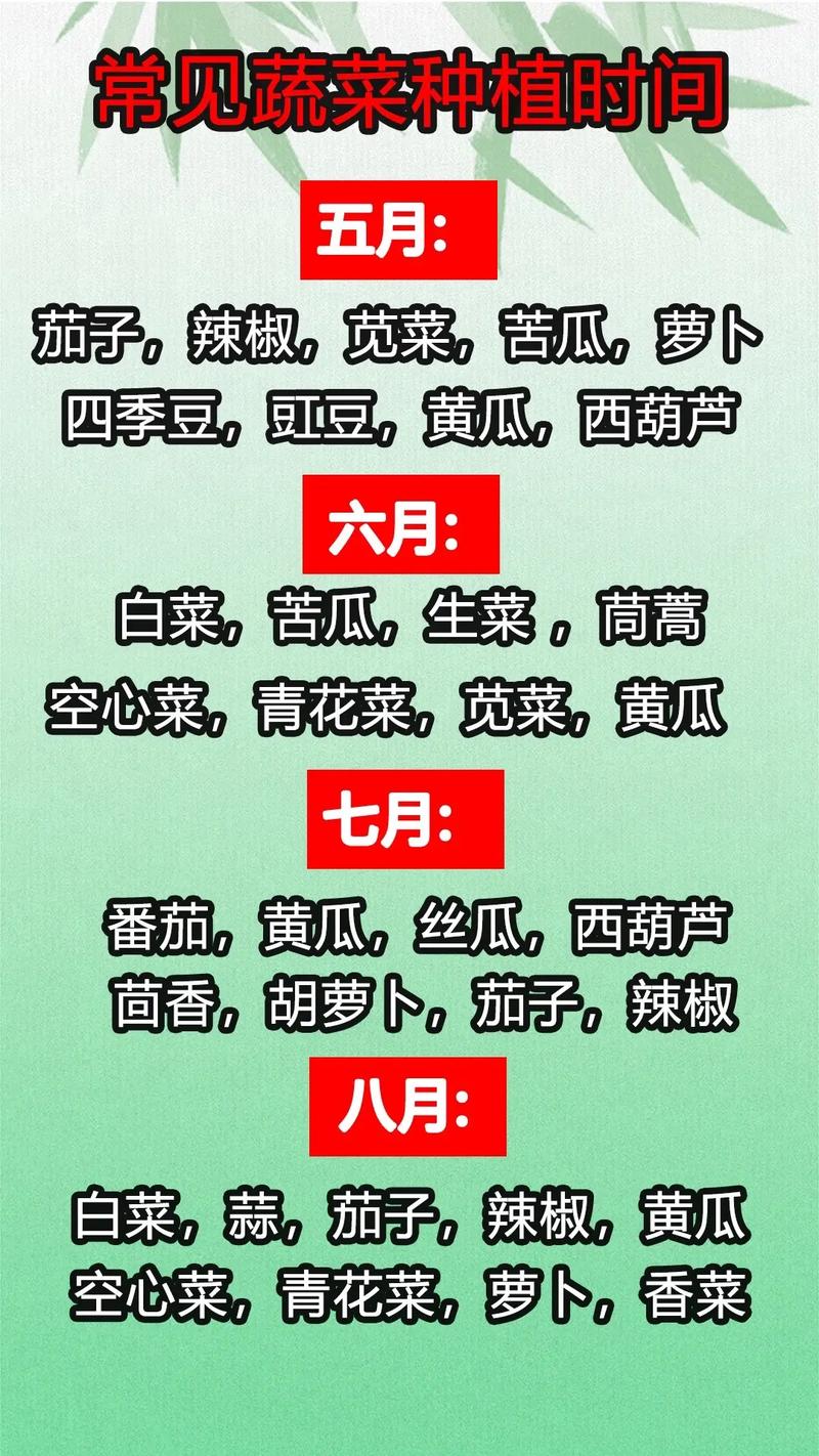 番茄育苗时间，番茄育苗时间表