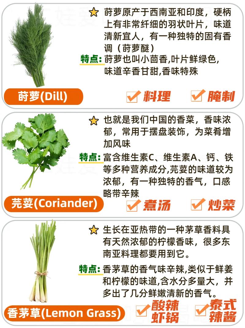意大利香菜和中国香菜区别