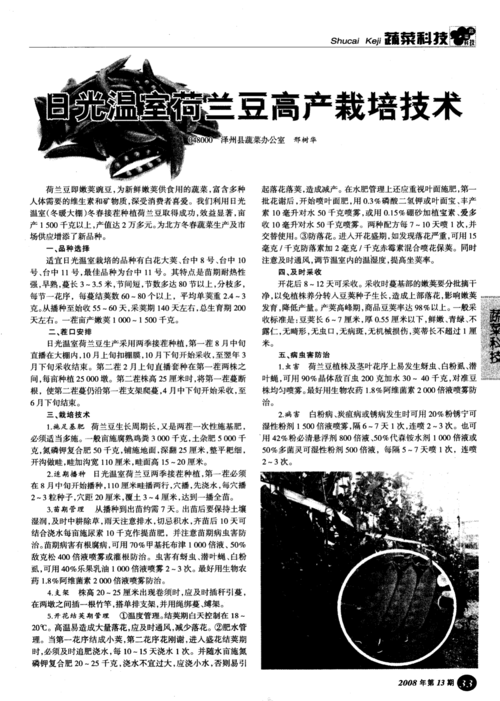 荷兰豆栽培技术