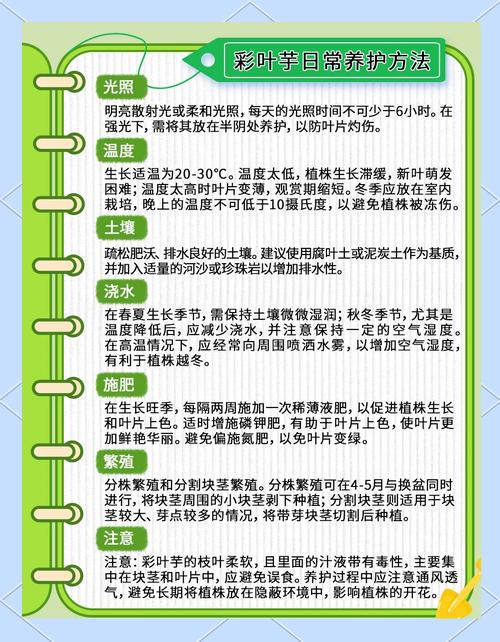 花叶芋的养殖方法和注意事项都有哪些?