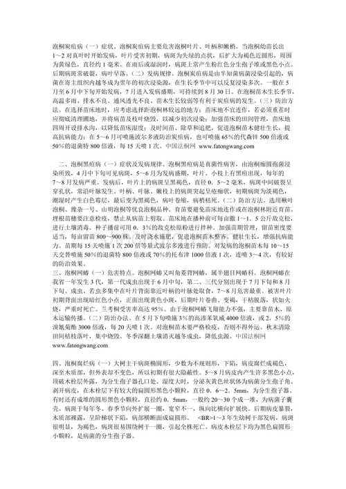 泡桐六种常见病虫害及防治方法
