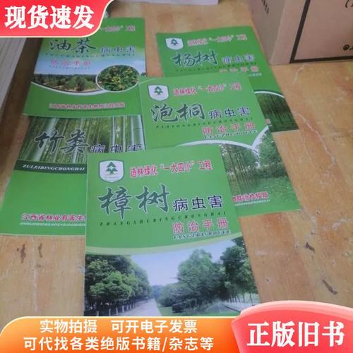 泡桐树的病虫害防治方法