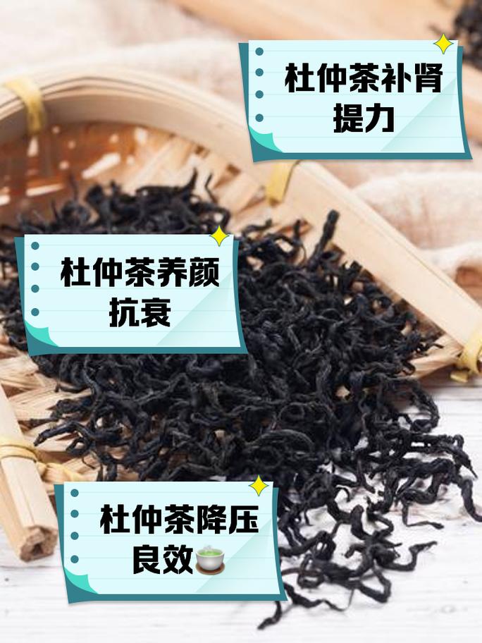 桃叶珊瑚的功效与作用，桃叶珊瑚是什么植物
