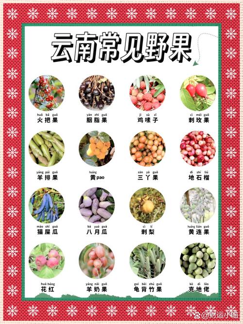 火棘有哪些作用