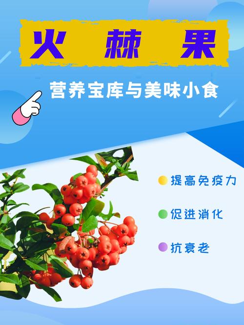 火棘的功效与作用