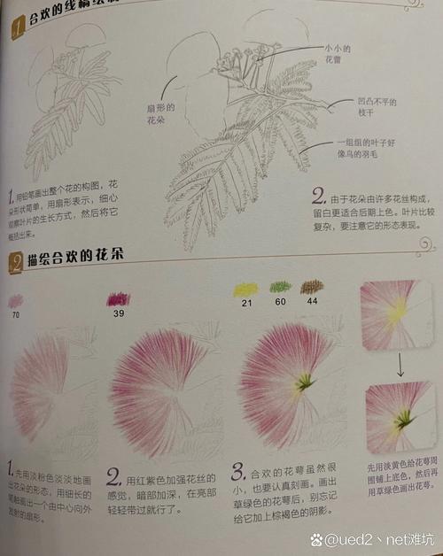 合欢花花语，合欢花花语和寓意