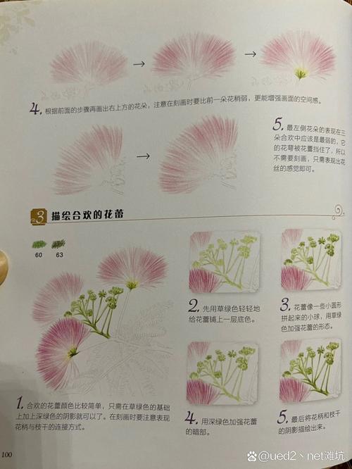 合欢花的花语和象征意义