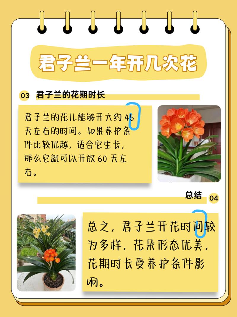 君子兰放在卧室对身体有害吗?