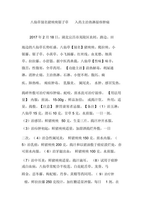 八仙花的药用功效