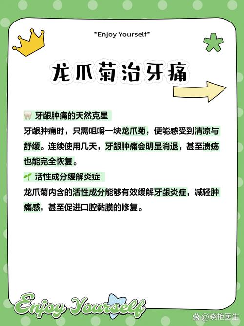 八仙花的药用功效及其作用