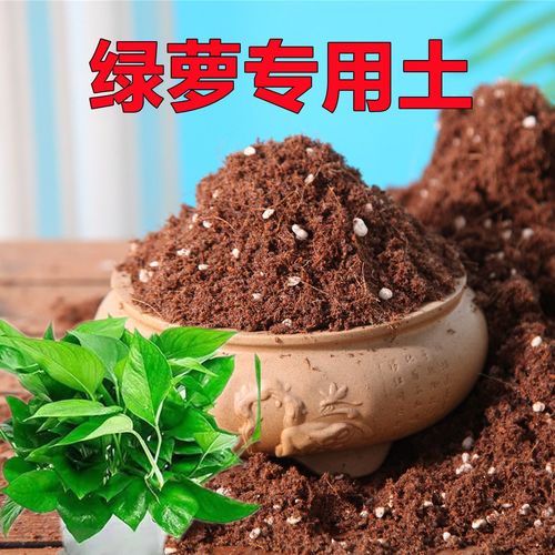 盆栽绿萝用什么土比较好