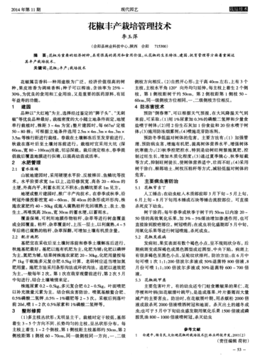 荷花椒的栽培方法及注意事项