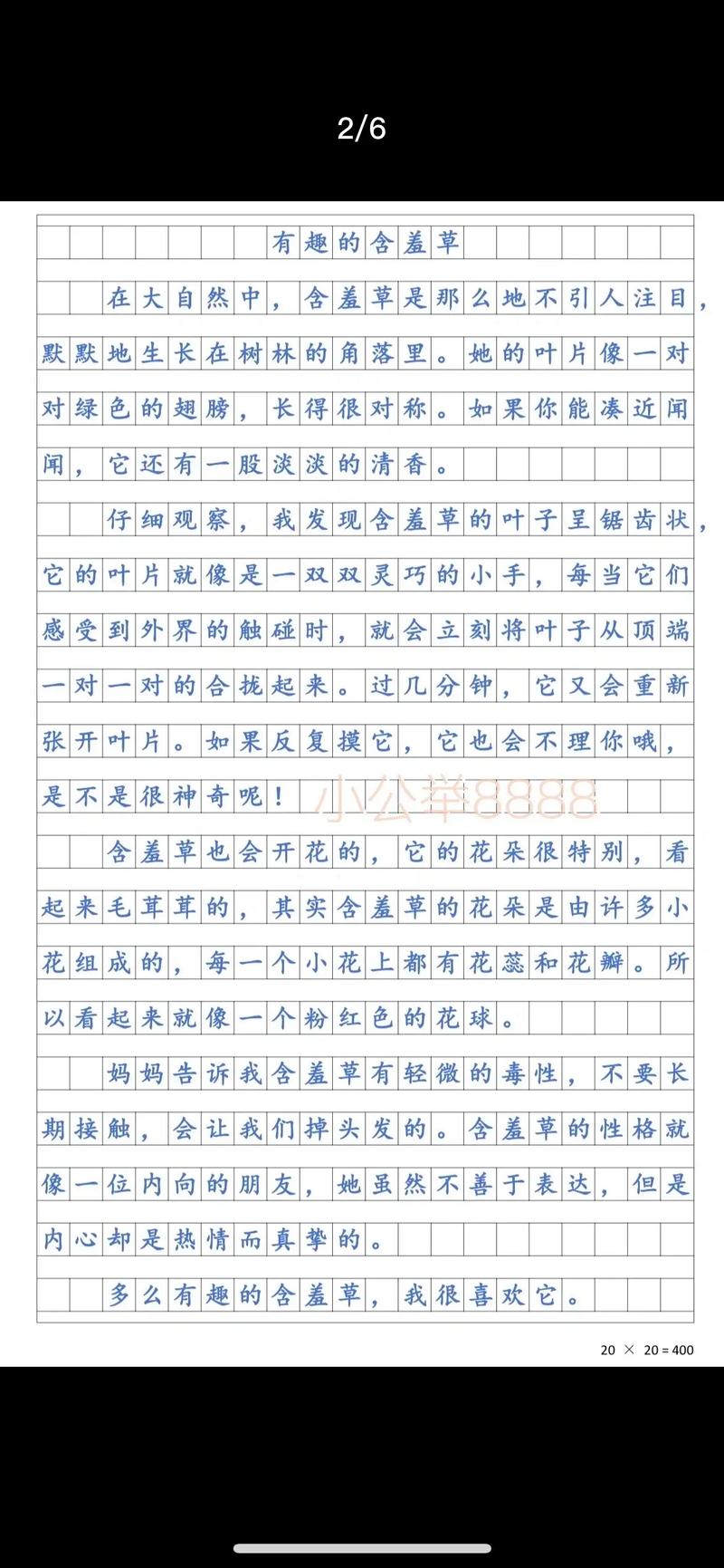 含羞草的特点和秘密介绍