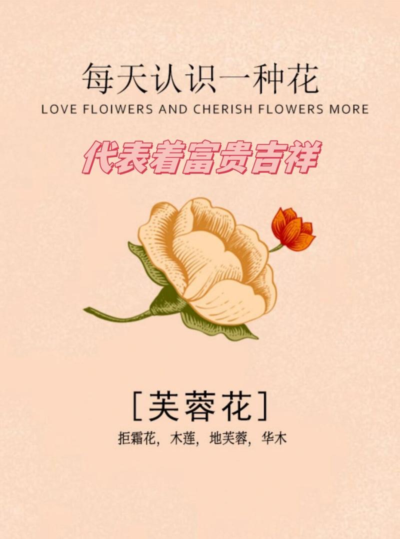 芙蓉花养殖的最佳方法