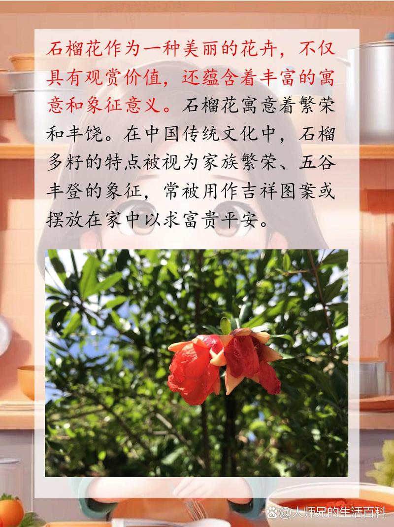 石榴寓意和象征?