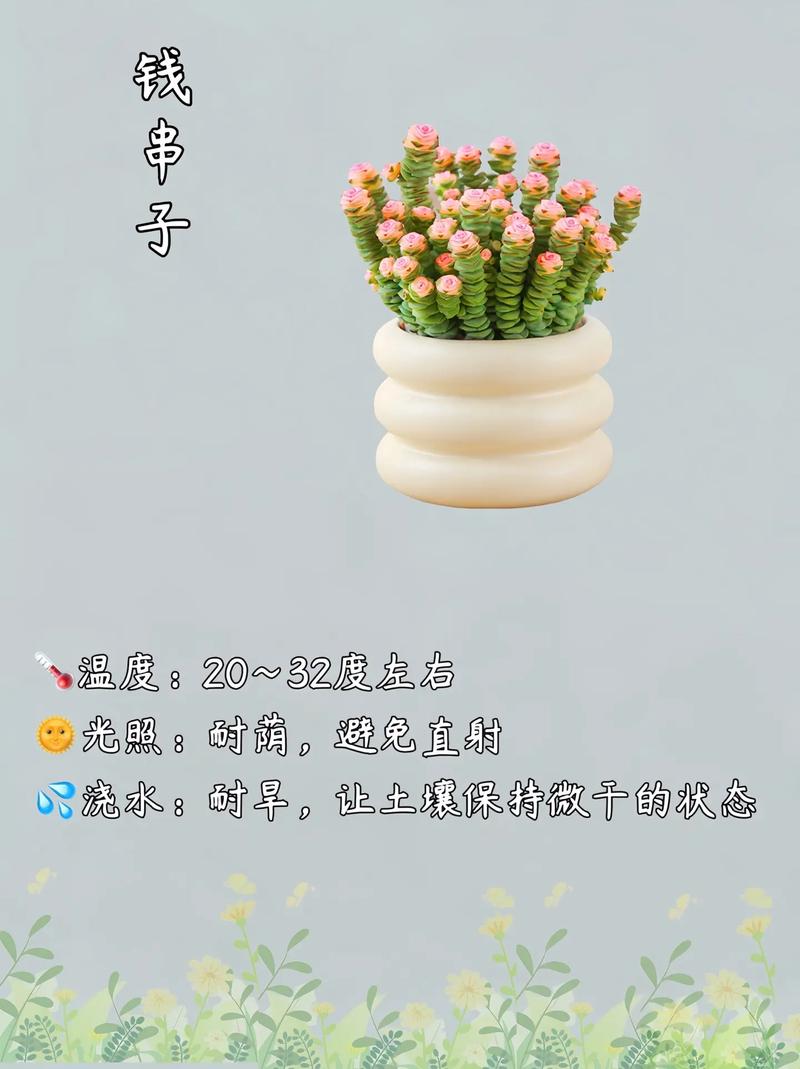 八种植物招财又旺宅