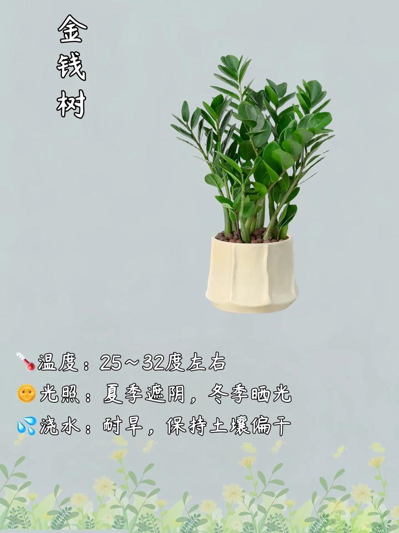 哪八种植物招财又旺宅?