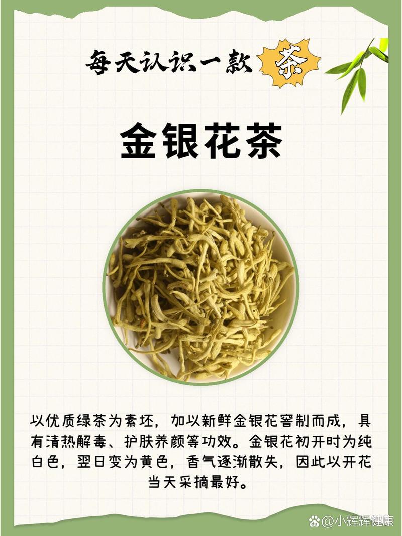 金银花有什么功效和作用