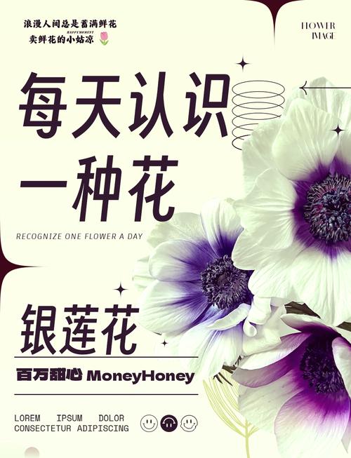 银莲花的养殖方法和注意事项
