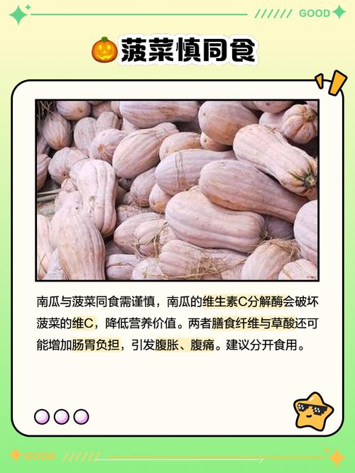 南瓜不能和什么一起