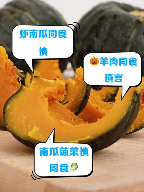 南瓜不能和什么一起吃