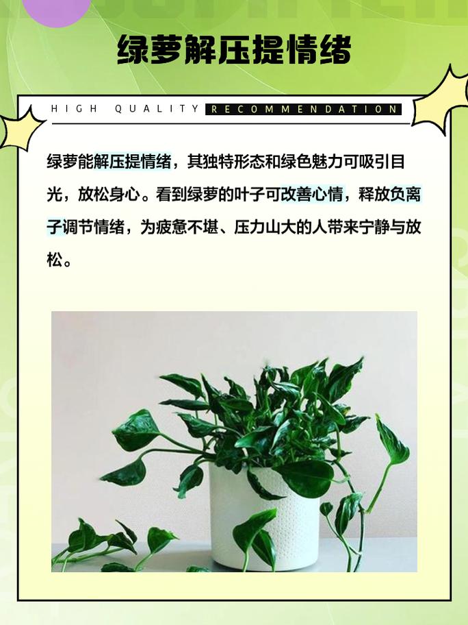 绿萝除甲醛的方法有用吗?