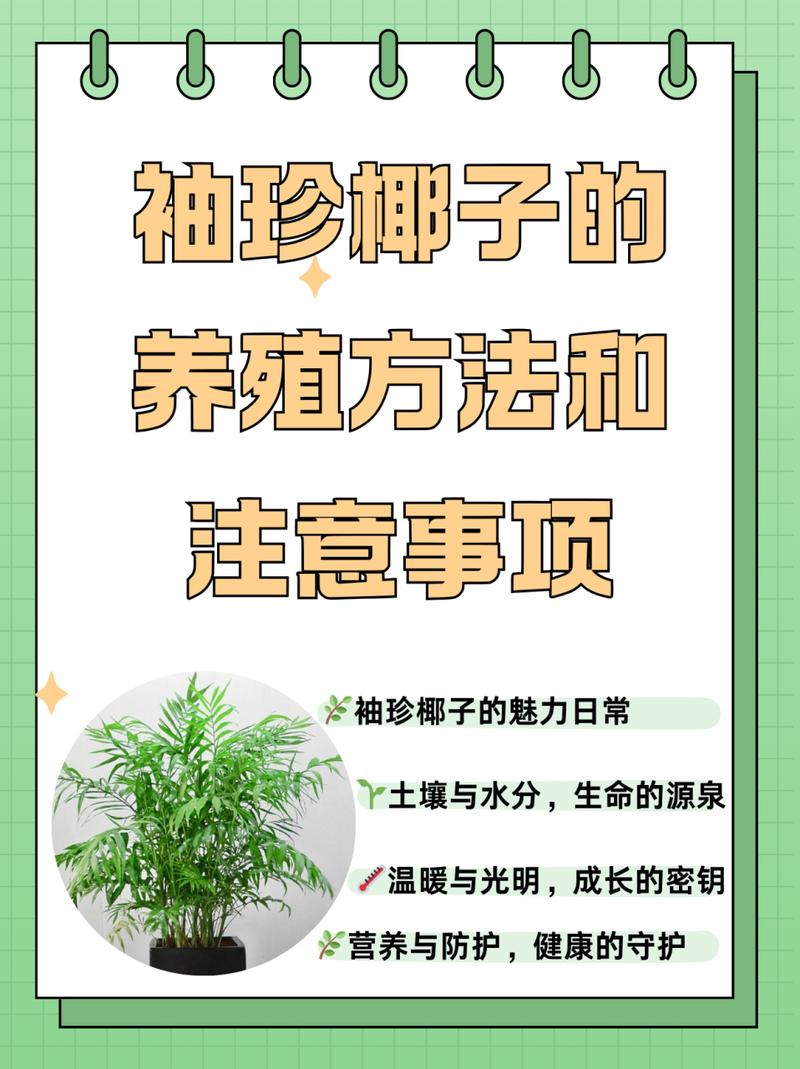 袖珍椰子花语和寓意,袖珍椰子的寓意和象征